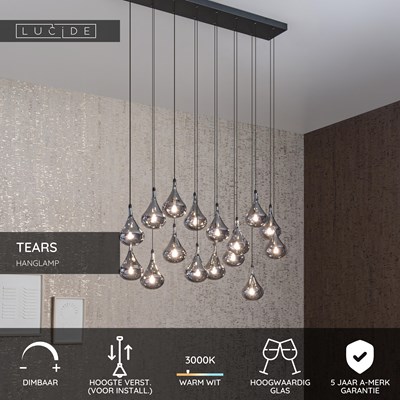 Lucide TEARS - Hanglamp - LED Dimb. - G4 - 16x1,5W 3000K - Zwart